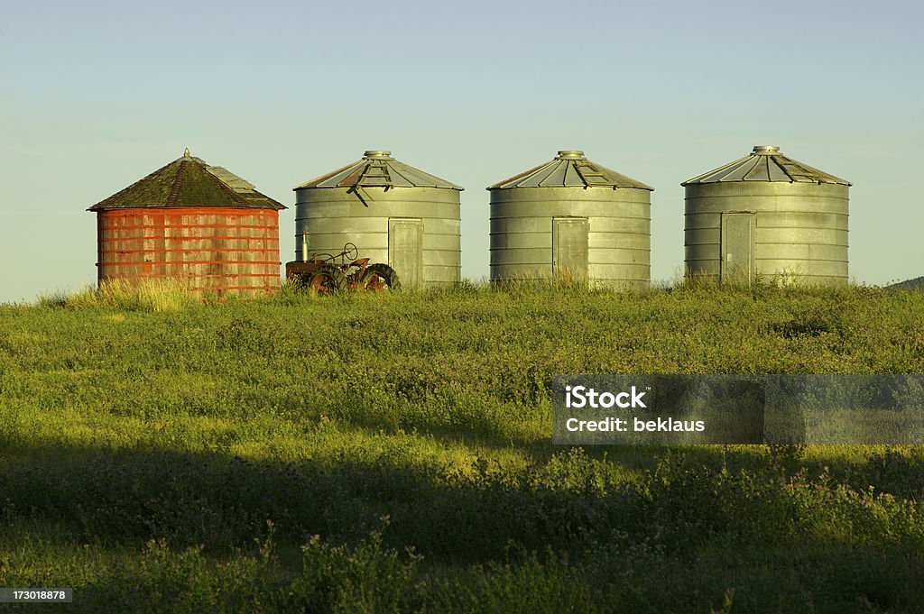 Silos per cereali e un Trattore - Foto stock royalty-free di Agricoltura