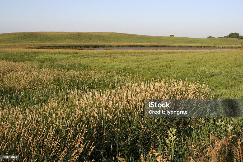 Айова Заболоченная земля и холмистой Meadow - Стоковые фото Айова роялти-фри