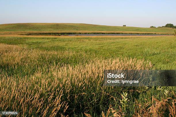 Айова Заболоченная Земля И Холмистой Meadow — стоковые фотографии и другие картинки Айова - Айова, Прерия, Без людей
