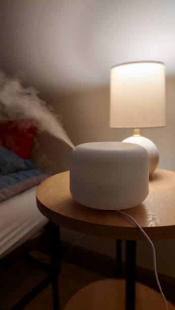 istock Humidifier in the room 1730193977