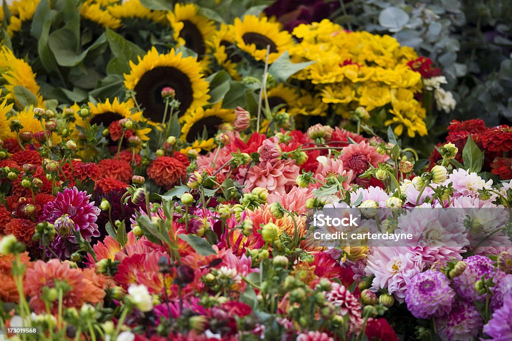 Kwiaty w odkrytym Kwiat street market - Zbiór zdjęć royalty-free (Bez ludzi)