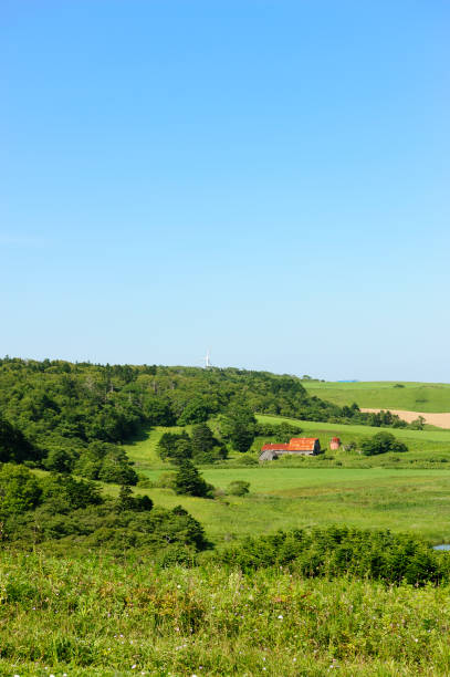 istock Countryside landscape in Japan 173019672