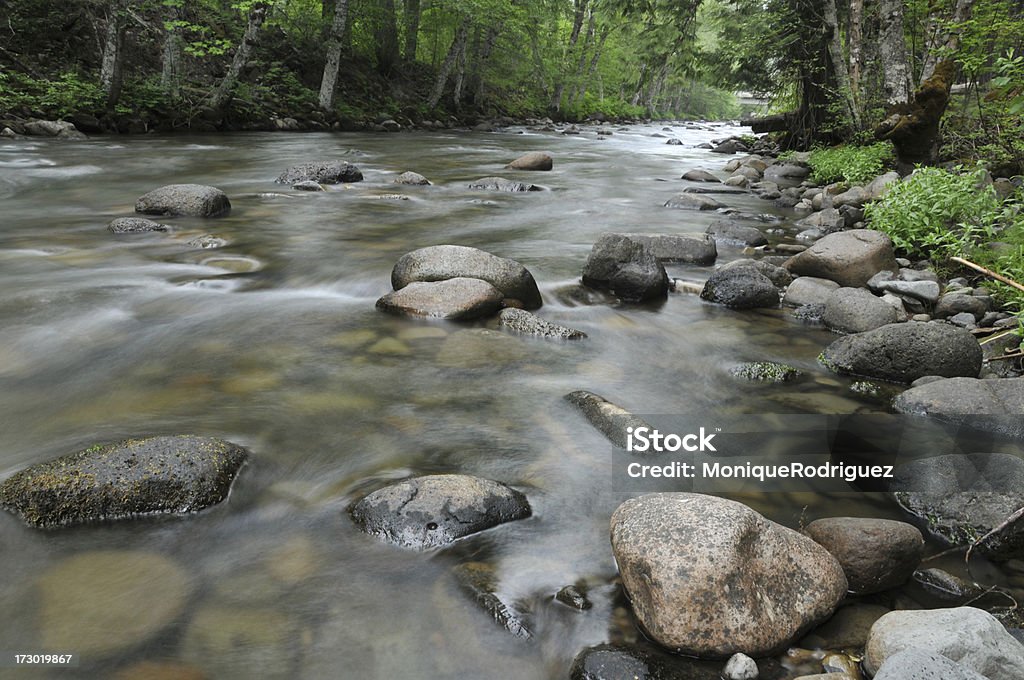 Creek Trout Lake Creek near Mt. Adams in Washington State. Flowing Stock Photo