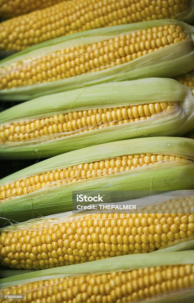 Kolby kukurydzy - Zbiór zdjęć royalty-free (Bez ludzi)