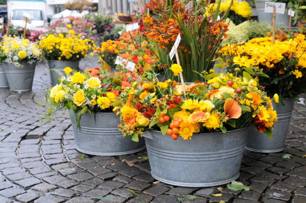 flower market series