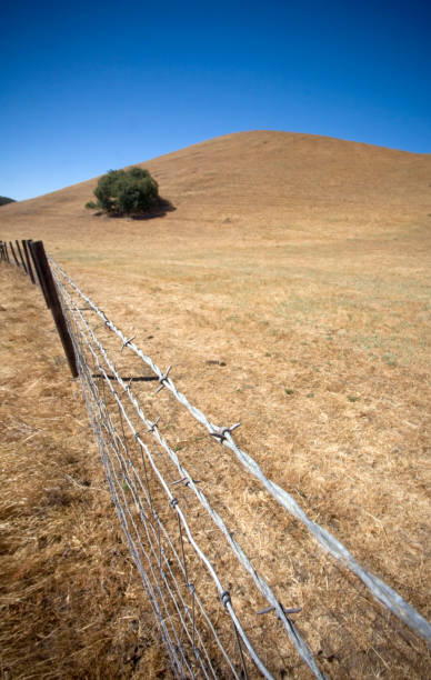 istock Pristine California Costal Mountains on a brilliant Blue Sky Day. 173020457