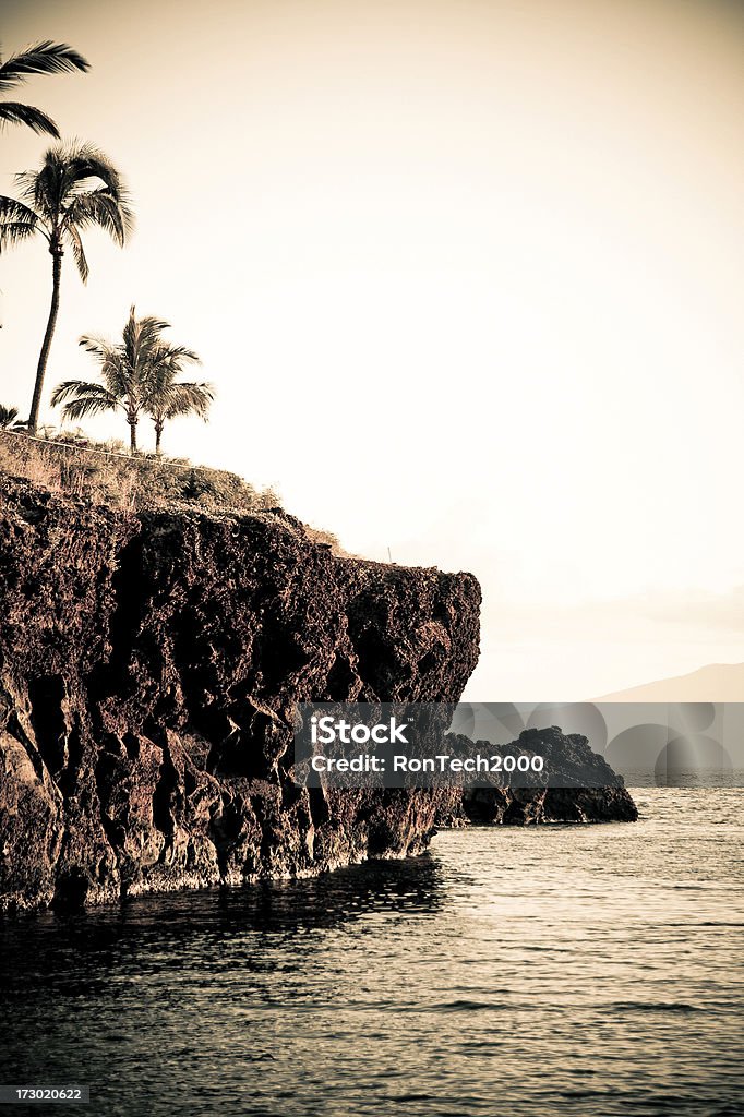 Vintage Black Rock de Maui - Photo de Lahaina libre de droits