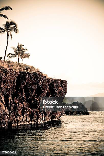 Vintage Mauiblack Rock - Fotografias de stock e mais imagens de Lahaina - Lahaina, Maui, Ao Ar Livre