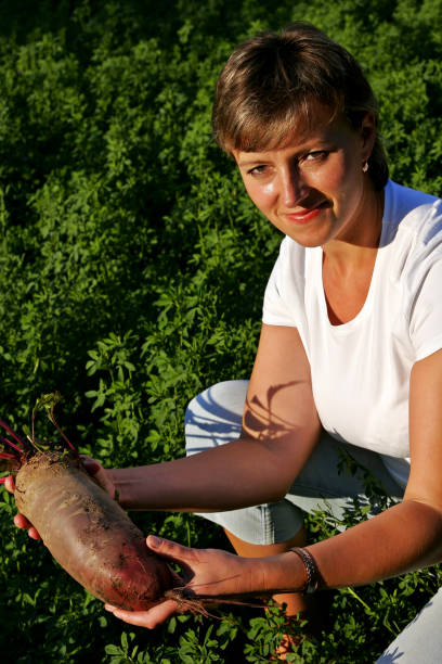 Woman with beet stock photo