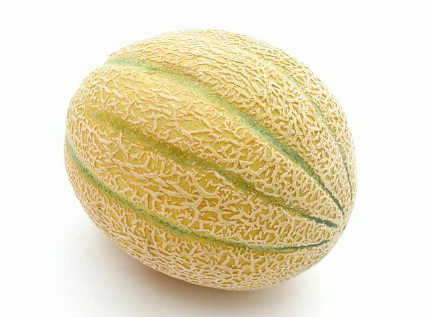 A close-up of a cantaloupe melon stock photo