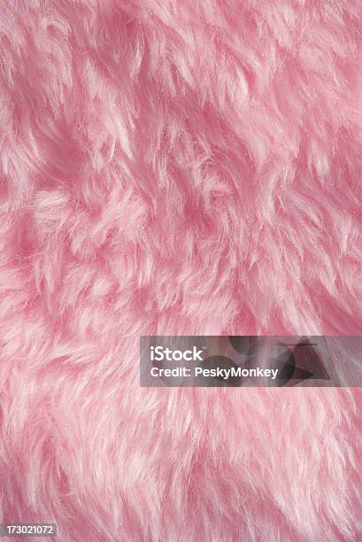 Furry Pink Background Stock Photo - Download Image Now - Pink Color, Animal Hair, Fur