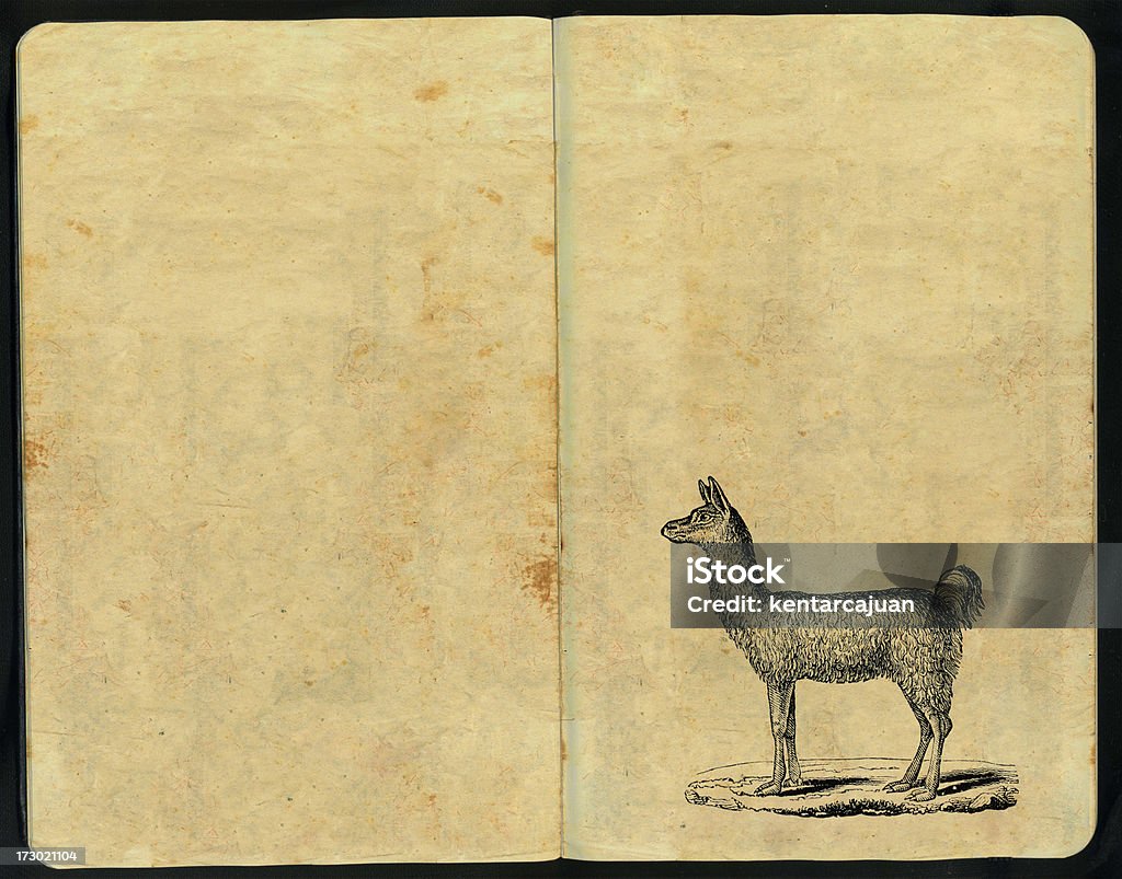 Lhama Caderno de Esboços - Foto de stock de Acabado royalty-free