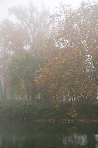 istock Foggy Park in Autumn 173021235