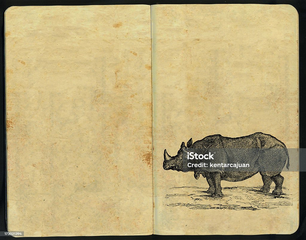 Rhino Bloc à dessin - Photo de Rhinocéros libre de droits