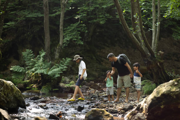 istock Father and boys hiking in the forest 1730215125