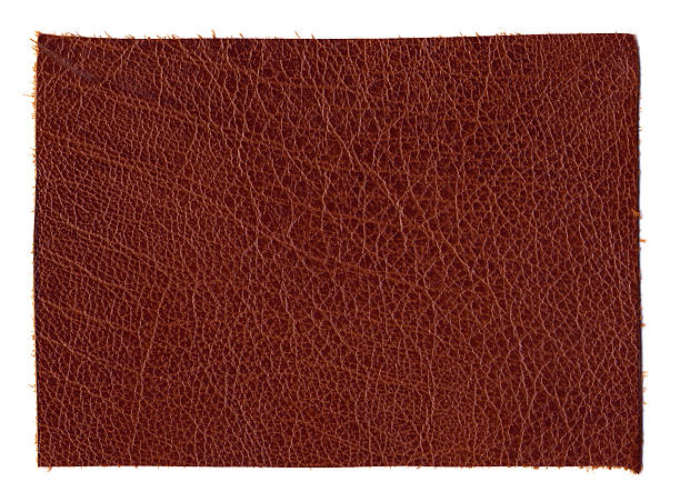 brown leather isolated on white stock photo