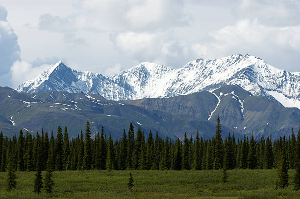 istock Snowy mountains in Alaska 173021814