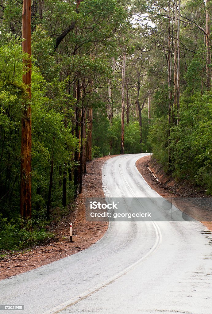 Leere Forest Road - Lizenzfrei Autoreise Stock-Foto