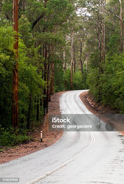 Leere Forest Road Stockfoto und mehr Bilder von Autoreise - Autoreise, Fahren, Westaustralien