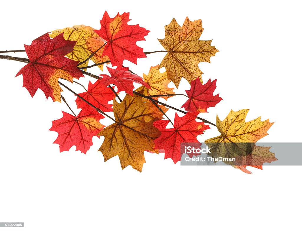 Folhas de Outono - Royalty-free Amarelo Foto de stock