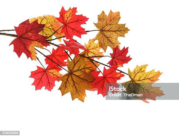 Folhas De Outono - Fotografias de stock e mais imagens de Amarelo - Amarelo, Artificial, Castanho