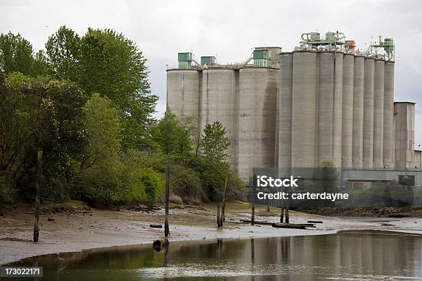 Photo libre de droit de Marée Basse Lit De Rivière Et Usine banque d'images et plus d'images libres de droit de 2000-2009 - 2000-2009, Angle de prise de vue, Arbre