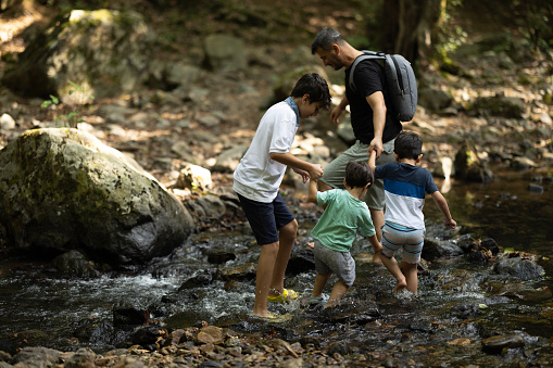 Father and boys hiking in the forest