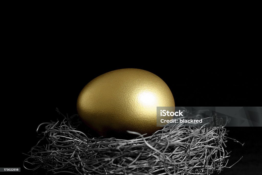 Goldenes Ei in ein Nest, auf schwarzem Hintergrund - Lizenzfrei Gold - Edelmetall Stock-Foto