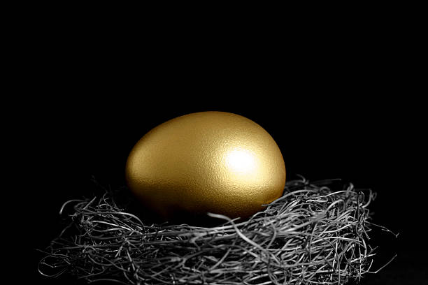 golden egg w nest na czarnym tle - animal egg golden animal nest nest egg zdjęcia i obrazy z banku zdjęć