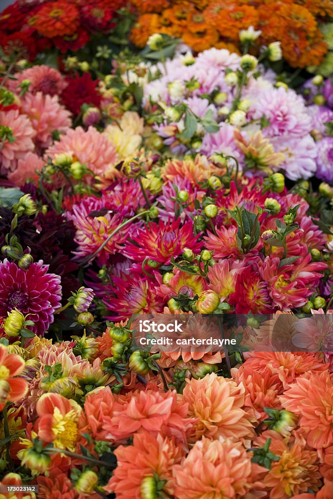 Flores en una flor al aire libre mercado de calle - Foto de stock de Floristería libre de derechos