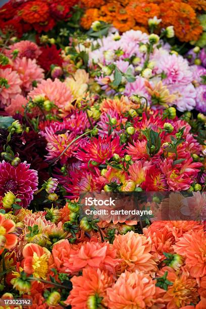 Flores En Una Flor Al Aire Libre Mercado De Calle Foto de stock y más banco de imágenes de Floristería - Floristería, Mercado de flores, Abundancia