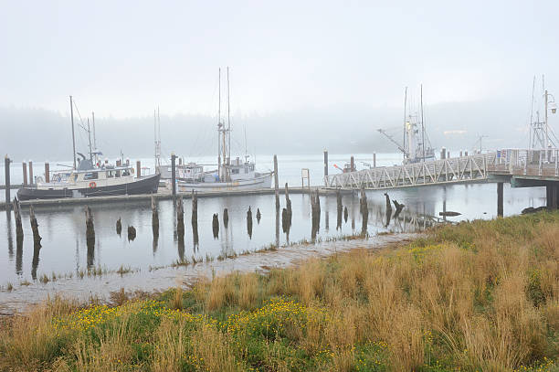 istock Foggy Morning at Siuslaw Port 173023162