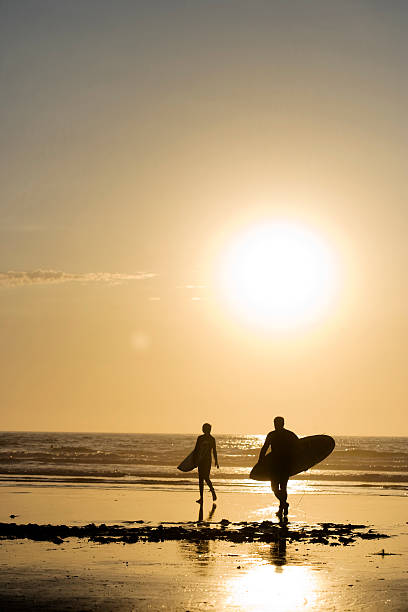 istock Endless Summer, Surfers in La Jolla 173023199