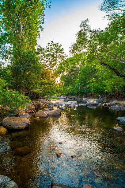 istock Emerald Elegance Serene Stream and Rocky Pebbles in the Deep Green Forest 1730234167