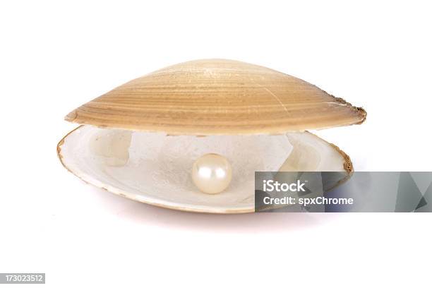 Pearl Stockfoto und mehr Bilder von Muschel - Tier - Muschel - Tier, Offen - Allgemeine Beschaffenheit, Muschelgehäuse