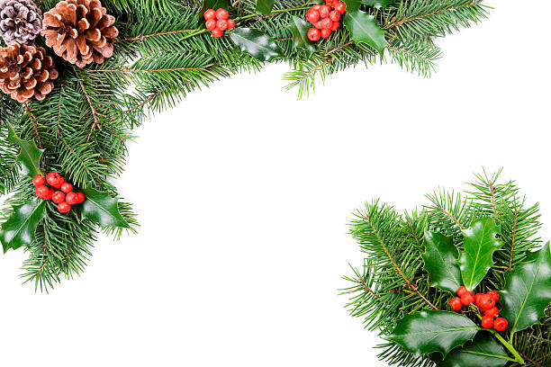 Christmas Holly on parchment paper background, with copy space.
