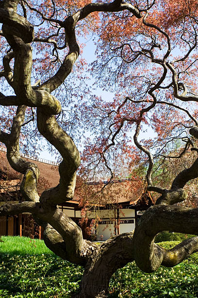 日本庭園とハウス、フィラデルフィア ストックフォト