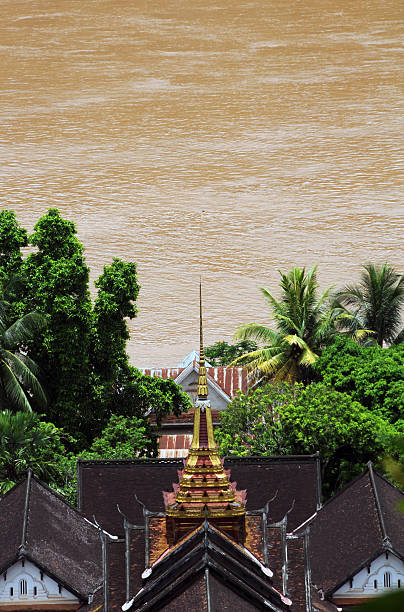 Looking down at a Luang Prabang rooftop and the Mekong.