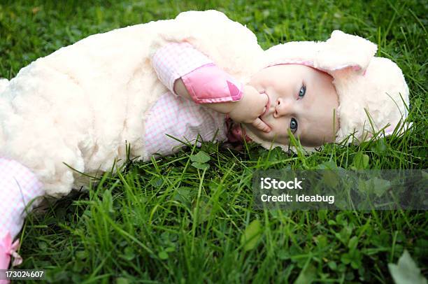 Sleepy Mały Lamb - zdjęcia stockowe i więcej obrazów 6 - 11 miesięcy - 6 - 11 miesięcy, Dzieciństwo, Dziecko