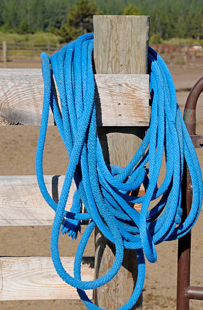 istock Blue rope on horse corral gate 173024654