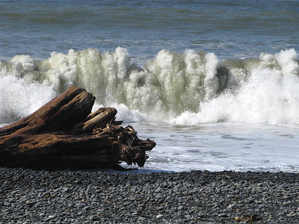 Beach Waves Surf A view of waves rolling in on Rialto Beach. rialto california stock pictures, royalty-free photos & images