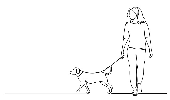 continuous single line drawing of woman walking her dog, line art vector illustration