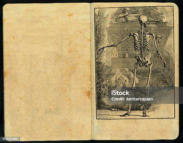 Tabula Sceleti Skizzenblock Stockfoto und mehr Bilder von Anatomie - Anatomie, Buch, Abstrakt