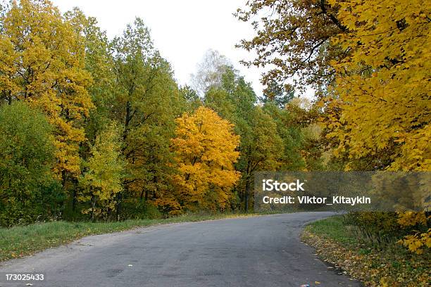 De Otoño Road Foto de stock y más banco de imágenes de Amarillo - Color - Amarillo - Color, Asfalto, Autopista