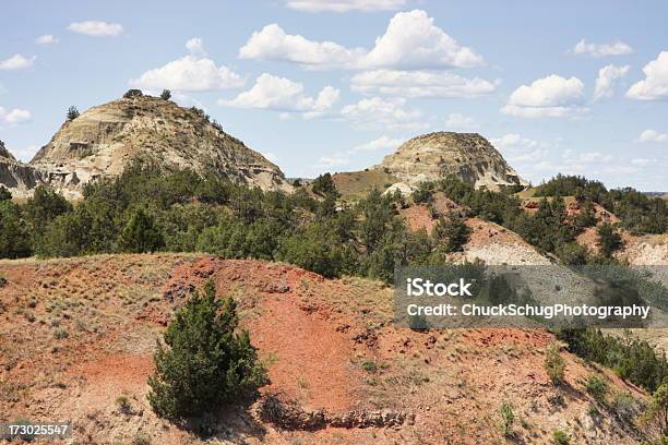 Foto de Badlands Pintada Paisagem Do Deserto Theodore Roosevelt Wilderness e mais fotos de stock de Dakota do Norte