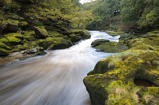 istock Early autumn on the River Wharfe 173025727