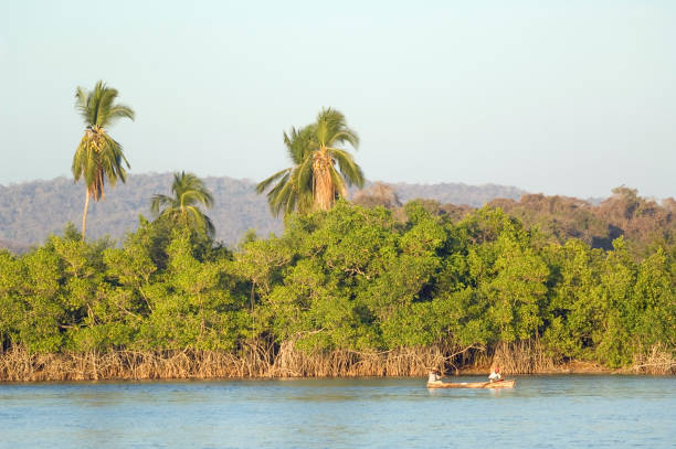 istock Fishing boat Mexico 173025900