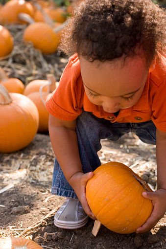 Kid in a pumpkin patch