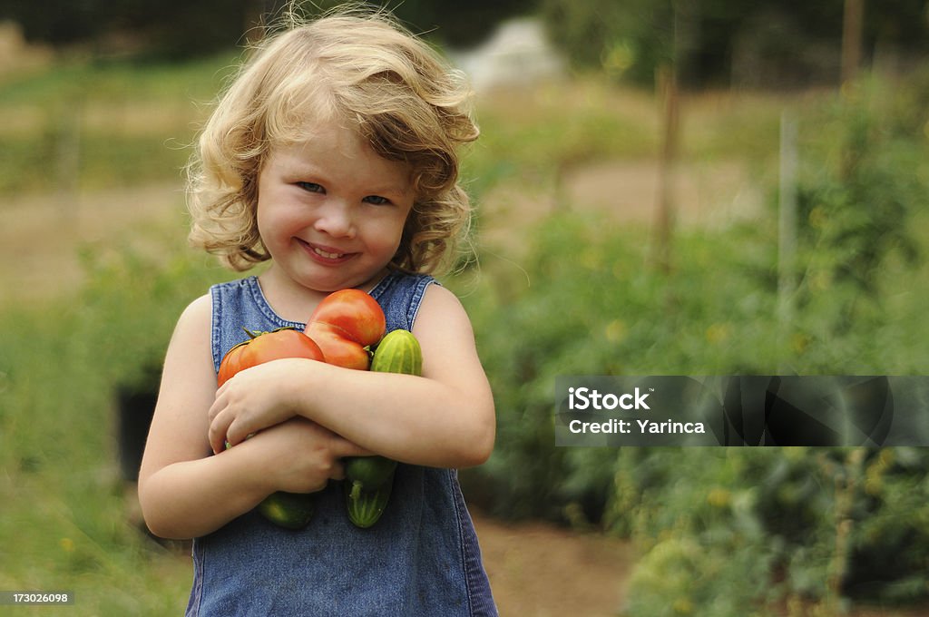 Uma boa colheita - Foto de stock de 12-17 meses royalty-free