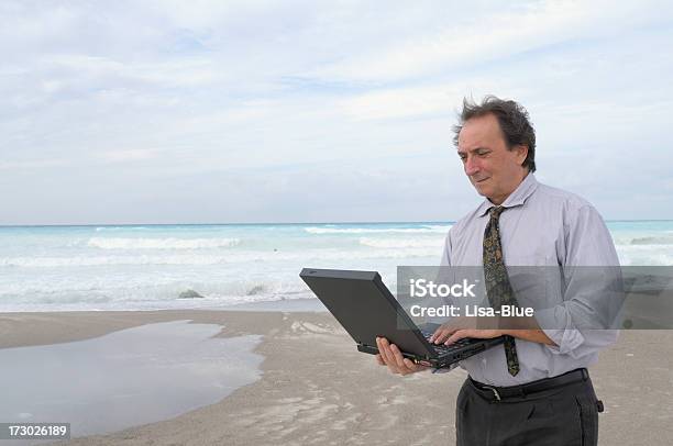 사업가 사용하여 Pc 해변 30-39세에 대한 스톡 사진 및 기타 이미지 - 30-39세, 45-49세, 경영자